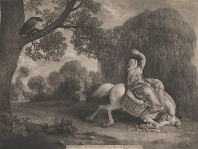 De Boerin en de Raaf, gegraveerd door de kunstenaar, uitgegeven 1788 door George Stubbs