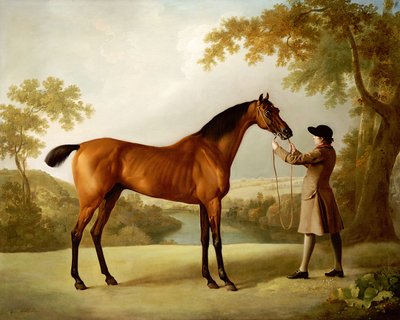 Tristram Shandy, een Bay Renpaard Gehouden door een Knecht in een Uitgestrekt Landschap, ca. 1760 door George Stubbs