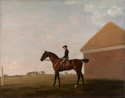 Turf, met jockey op, in Newmarket door George Stubbs