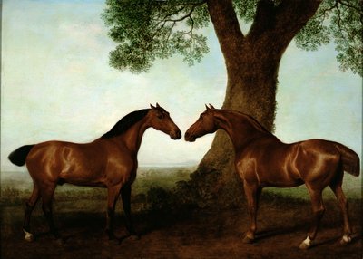 Twee Bay Hunters bij een Boom, 1786 door George Stubbs