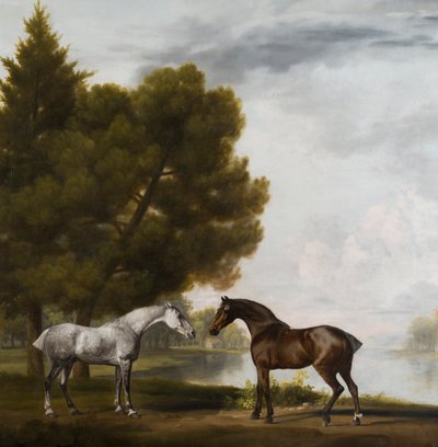 Twee paarden in gesprek in een landschap door George Stubbs