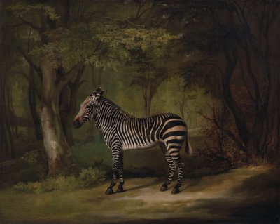 Zebra door George Stubbs