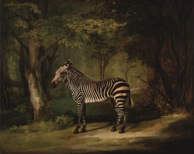 Zebra door George Stubbs