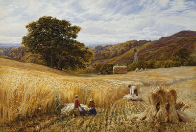 Oogsttijd bij Holmbury Hill, Surrey door George Vicat Cole