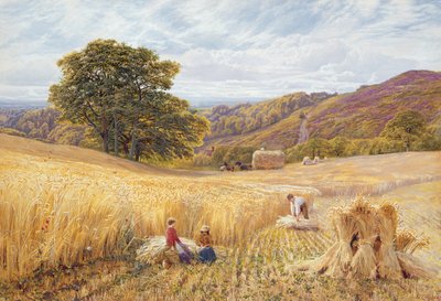 Oogsttijd nabij Holmbury Hill, Surrey, 1865 door George Vicat Cole