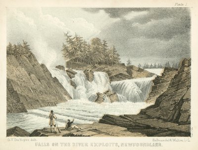 Falls on the River Exploits, Newfoundland (ingekleurde gravure) door George Victor Du Noyer