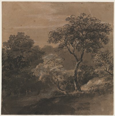 Landschap door George Vincent