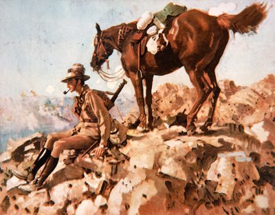 Australische Lichte Cavalerist, Allenby