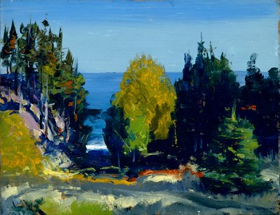 Het bos - Monhegan, 1911 door George Wesley Bellows