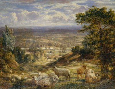 Een Zomerlandschap met Schapen door George William Mote