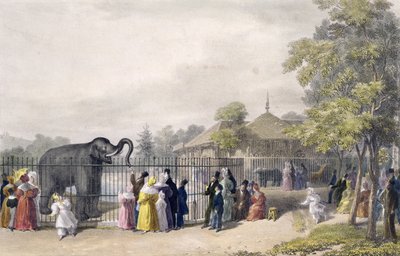 Het olifantenhuis in de dierentuin, Regent