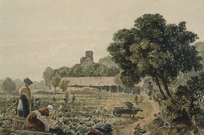 Moestuin in Chelsea door George the Younger Barret