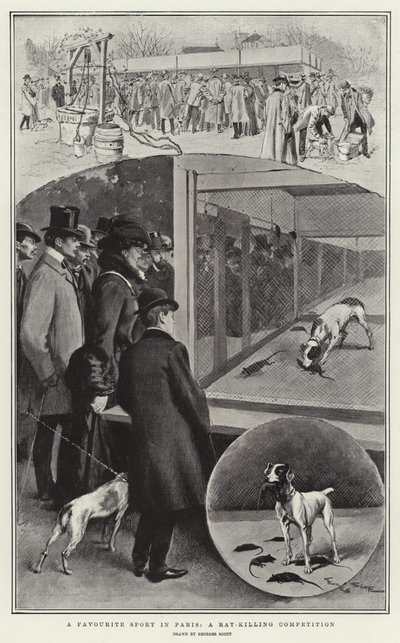 Een favoriete sport in Parijs, een rattenmoordwedstrijd door Georges Bertin Scott