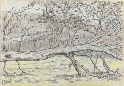 Gevelde boom, Normandië door Georges Lacombe
