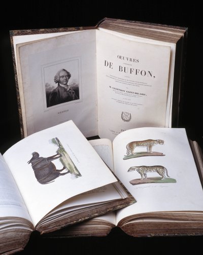 Stilleven van de Volledige Werken van Buffon door natuuronderzoeker Georges Louis Leclerc, Graaf van Buffon. Gravure uit 1837. door Georges Louis Leclerc