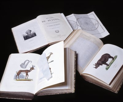 Stilleven van de "Volledige werken van Buffon" door natuuronderzoeker Georges Louis Leclerc, Graaf van Buffon (1707 - 1788). Gravure uit 1837. door Georges Louis Leclerc