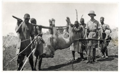 Leeuw bij Bahr el Ghazal, Am Dafok, 1925 door Georges Marie Haardt