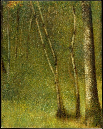  door Georges Seurat