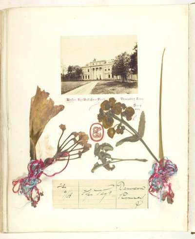 Zonder titel [uitzicht op Broadlands met gedroogde bloemen] door Georgina Cowper
