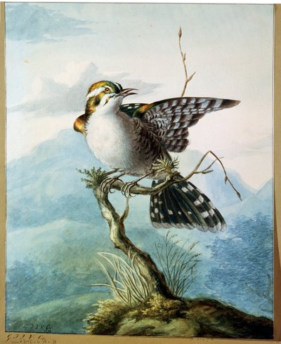 Een klein vogeltje, 1798 door Georgius Jacobus Johannes van Os