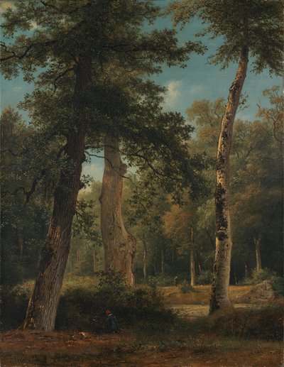 Een bos te Fontainebleau door Georgius Jacobus Johannes van Os
