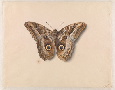 Eene kapel door Georgius Jacobus Johannes van Os