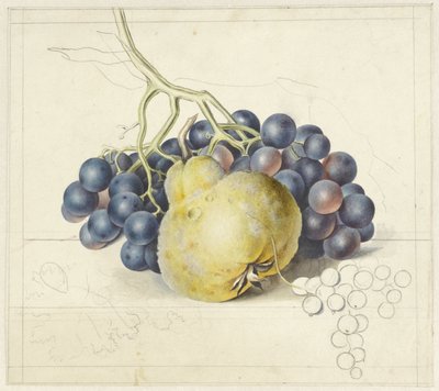 Stilleven met druiven en een peer door Georgius Jacobus Johannes van Os