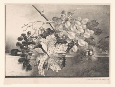 Stilleven met druiven en kastanjes door Georgius Jacobus Johannes van Os