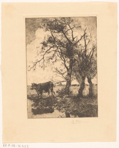 Koe aan de waterkant door Gerard Altmann (signed by artist)