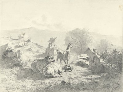 Herderin met geiten en schapen in bergachtig landschap door Gerard Bilders