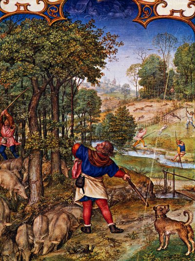 Maand november, Eikels verzamelen en hazenjacht, miniatuur uit Grimani Brevier, met miniatuur door Gerard Horenbout, Alexander en Simon Bening, cod Lat I, 99 f 11v, Nederland door Gerard Horenbout