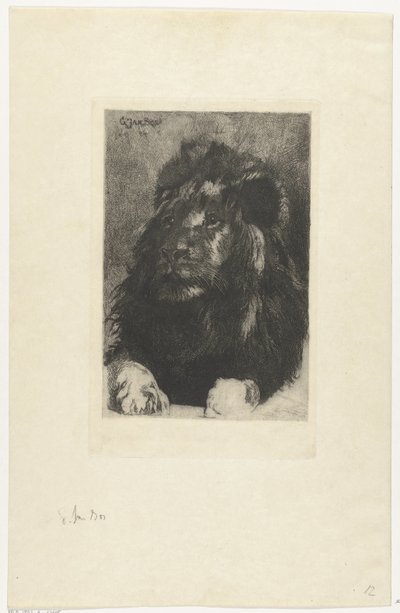 Kop van een leeuw door Gerard Jan Bos