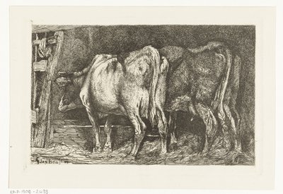 Twee koeien bij een voederbak door Gerard Jan Bos