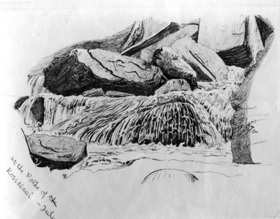 Bij de Baden van Rosenlaui - juli, c.1867 door Gerard Manley Hopkins