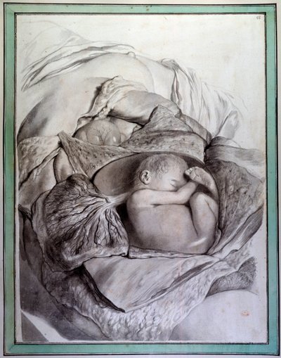 Voorstelling van een foetus van een mens in een baarmoeder door Gerard de Lairesse