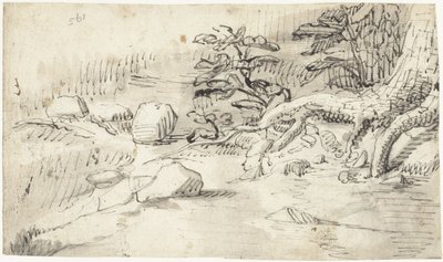 Studie van de wortels van een boom bij een stroompje door Gerard ter Borch (I)