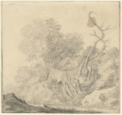Huizen tussen bomen bij water door Gerard ter Borch (II) (possibly)