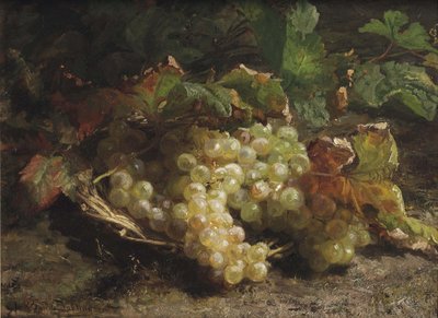 Witte druiven in een rieten mand door Gerardina Jacoba van de Sande Bakhuyzen