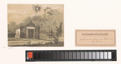 Graf van de keizer op Timor door Gerardus Johannes Bos