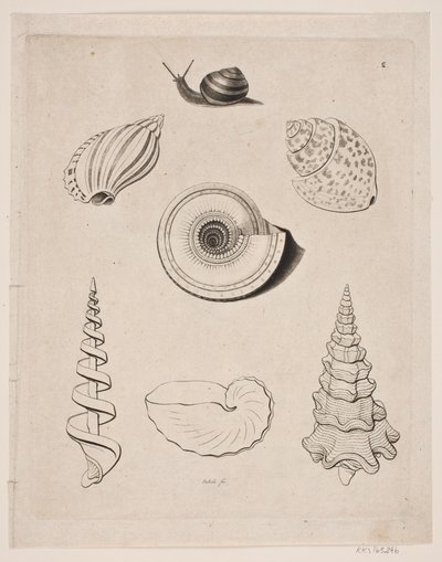 Bord met slakken door Gerhard Ludvig Lahde