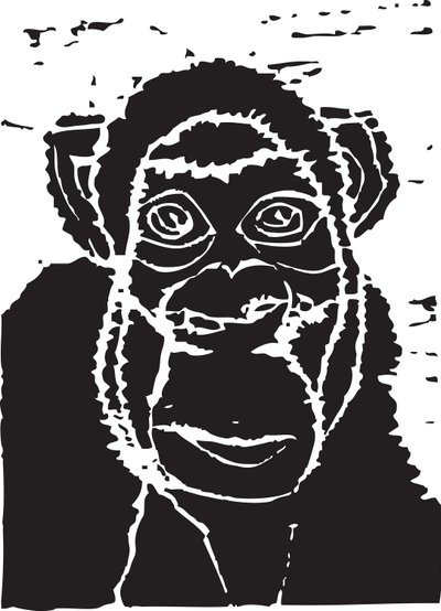 Chimpansee door Gerhardt Isringhaus