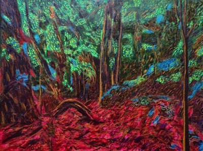 Mexicaanse Jungle door Gerhardt Isringhaus