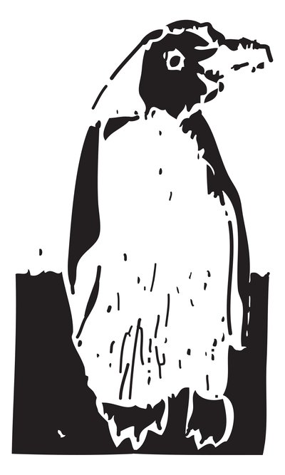 Pinguïn door Gerhardt Isringhaus