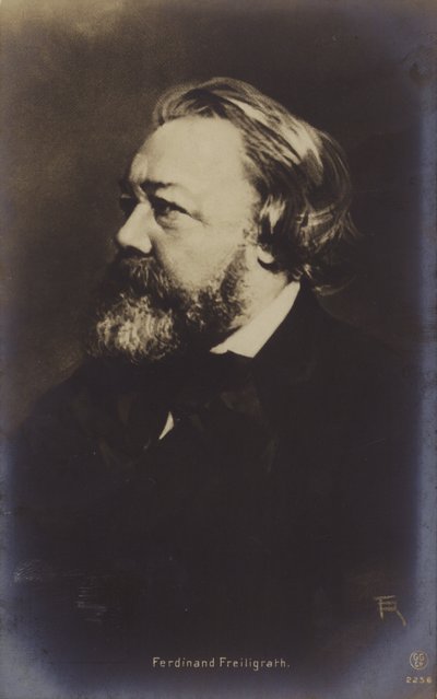 Ferdinand Freiligrath (1810-1876), Duits dichter (z/w foto) door German Photographer