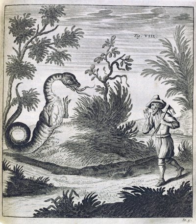 Een Angstaanjagende Draak, ca. 1660 door German School