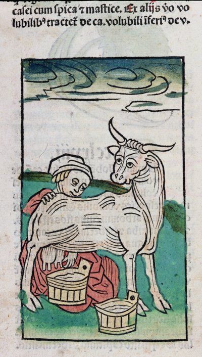 Een meid die een koe melkt, 1491 door German School