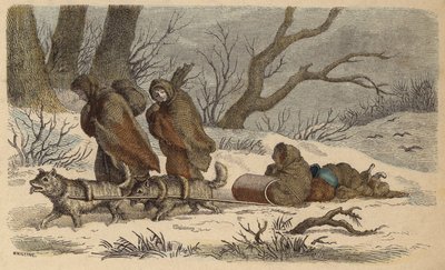 Een inheemse Amerikaanse slee (gekleurde gravure) door German School