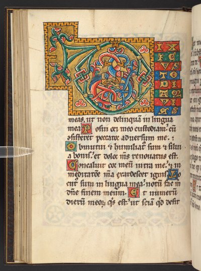 Grote ingelijste initialen in goud en kleuren met blad- en soms dierlijke en antropomorfe ornamenten (perkament) door German School