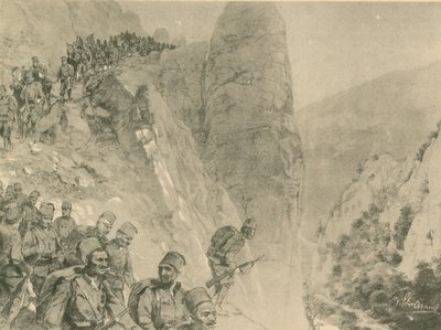 Opmars van de Bosnische Herzogivinan infanterie door German School