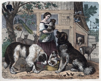 Genegenheid tussen een boerin en haar honden. In 